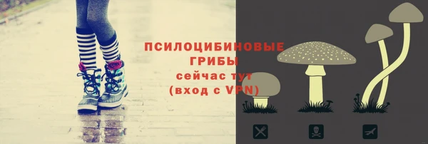 синтетический гашиш Белокуриха