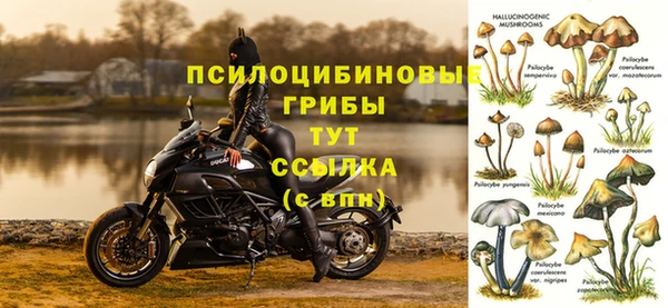 синтетический гашиш Белокуриха